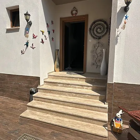 Birds 3* Κουσάντασι