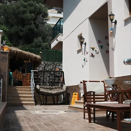 Birds Κουσάντασι