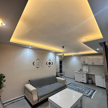 Birds 3* 库萨达斯