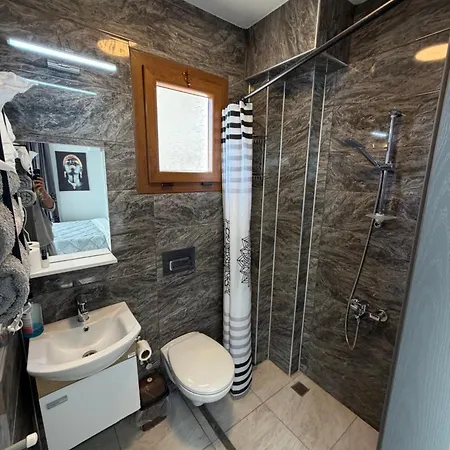 公寓式酒店 Birds