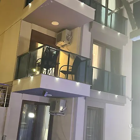 Birds クシャダス